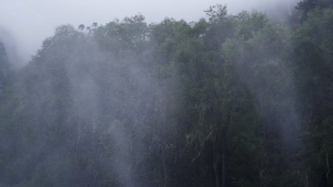 蜘蛛网 水汽 雾气 雨幡 情绪镜头