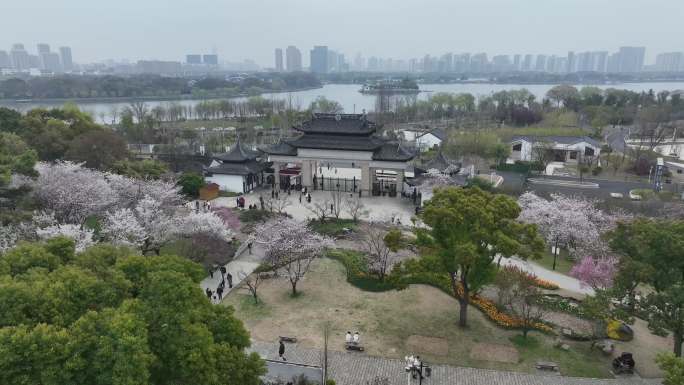 苏州上方山国家森林公园百花节视频 4K