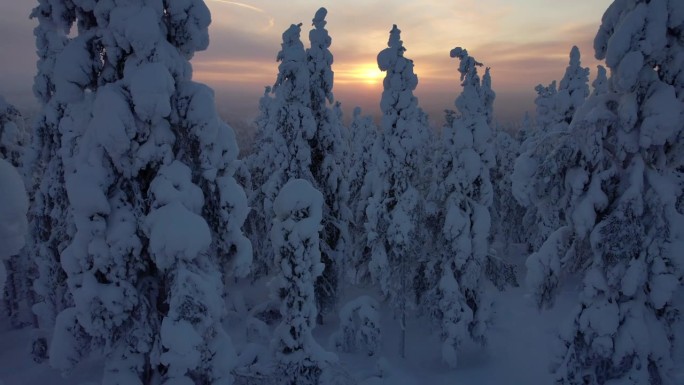 航拍无人机拍摄的夕阳雪景，芬兰拉普兰，北极圈