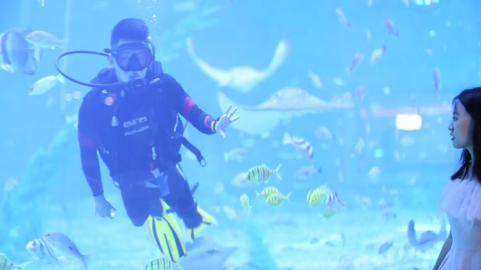 海洋馆互动潜水海洋世界鱼类