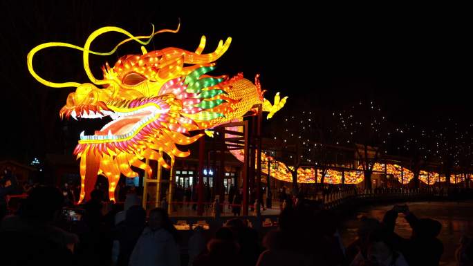 北京什刹海荷花市场元宵节灯会传统文化龙年