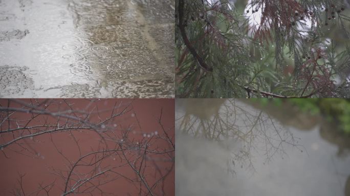 下雨青石板路人走路倒影红墙树枝雨滴