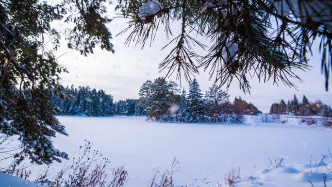 冬季景观与美丽的降雪，延时，相机运动，超延时