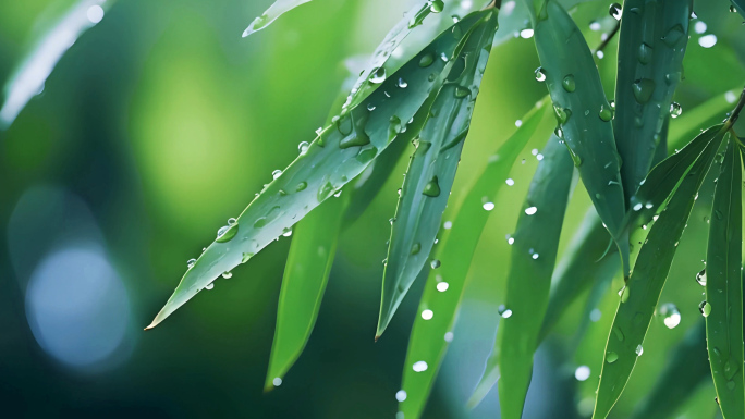 节气谷雨 雨水 惊蛰 自然镜头