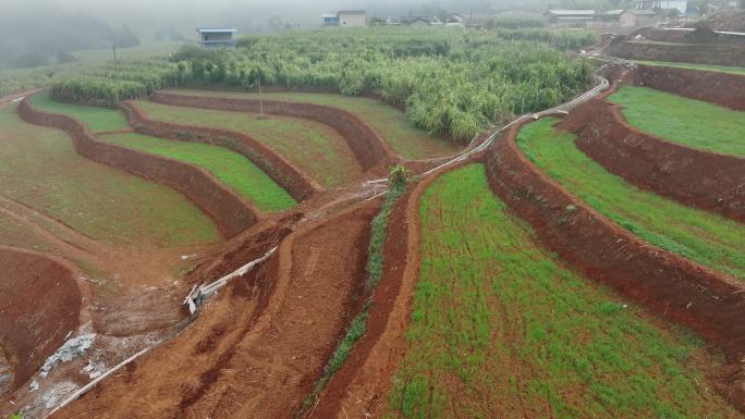 土地流转 土地整理  标准化农田建设