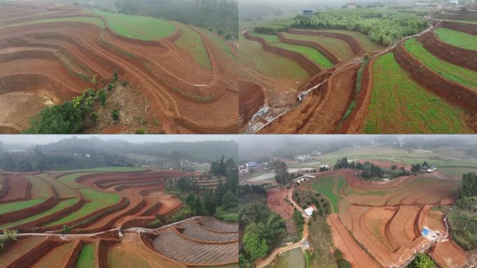 土地流转 土地整理  标准化农田建设