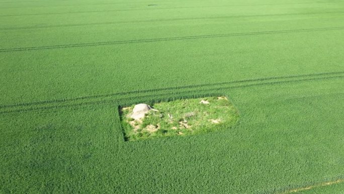 一个德国炮兵连的残余物，在欧洲，法国，诺曼底，朝向阿罗芒什，在夏天，一个阳光明媚的日子。