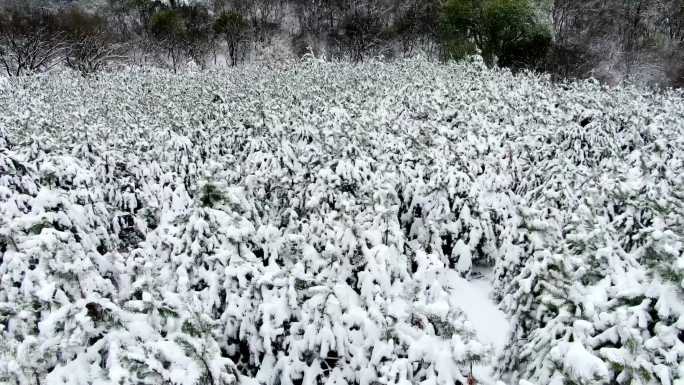 下雪美景航拍