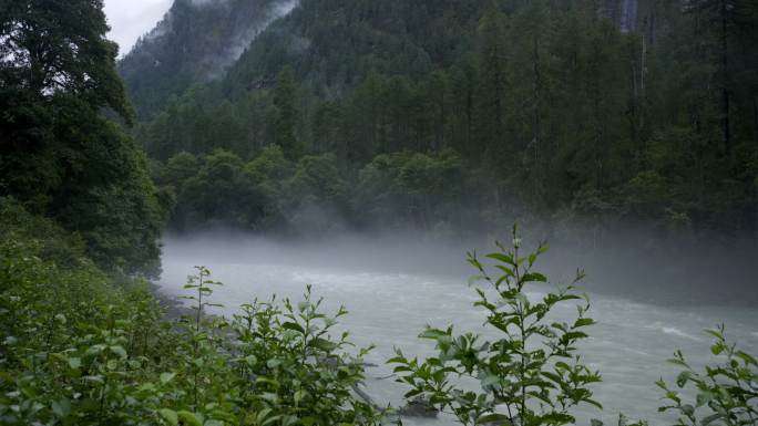 河流平流雾气烟雨江南 水汽通道 察隅墨脱