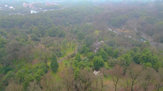 杭州植物园风景视频素材4