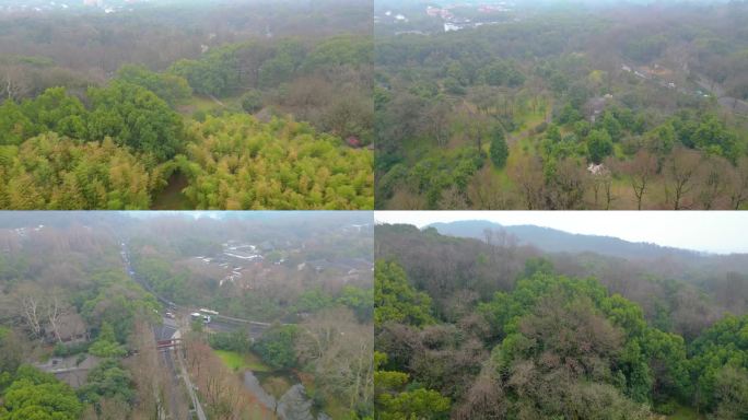 杭州植物园风景视频素材4