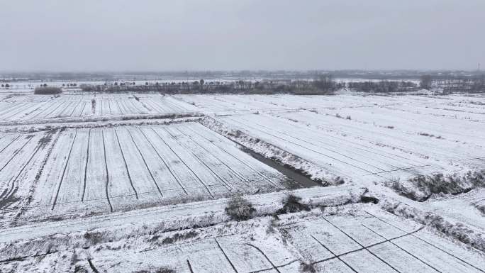 航拍农村乡镇集镇田野平原雪景