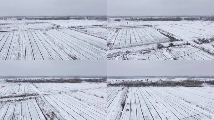 航拍农村乡镇集镇田野平原雪景