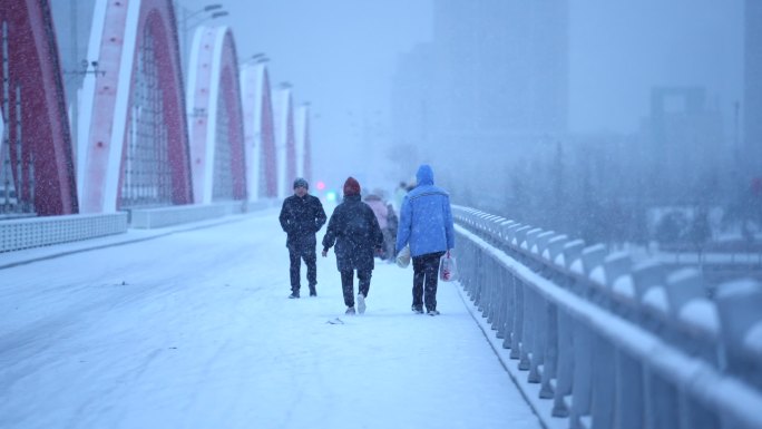 雪天桥上的行人