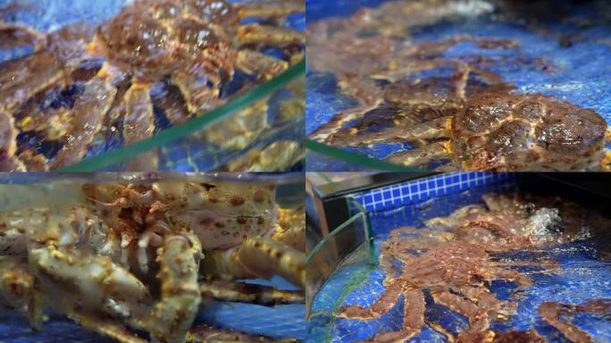 4K食材高端海鲜帝王蟹龙虾宣传