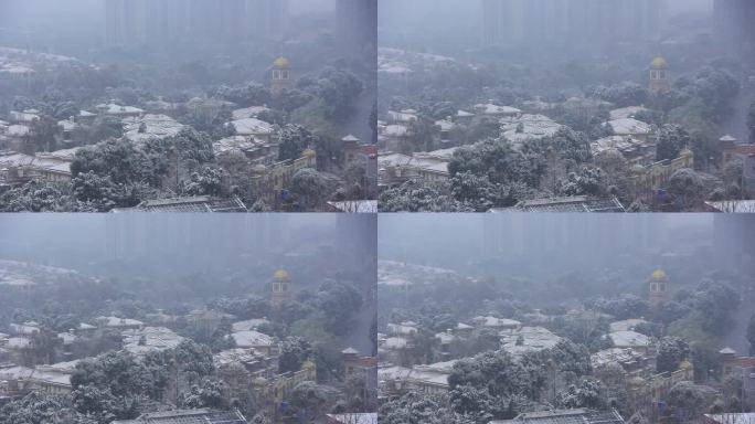 四川省成都市温江区下雪的场景