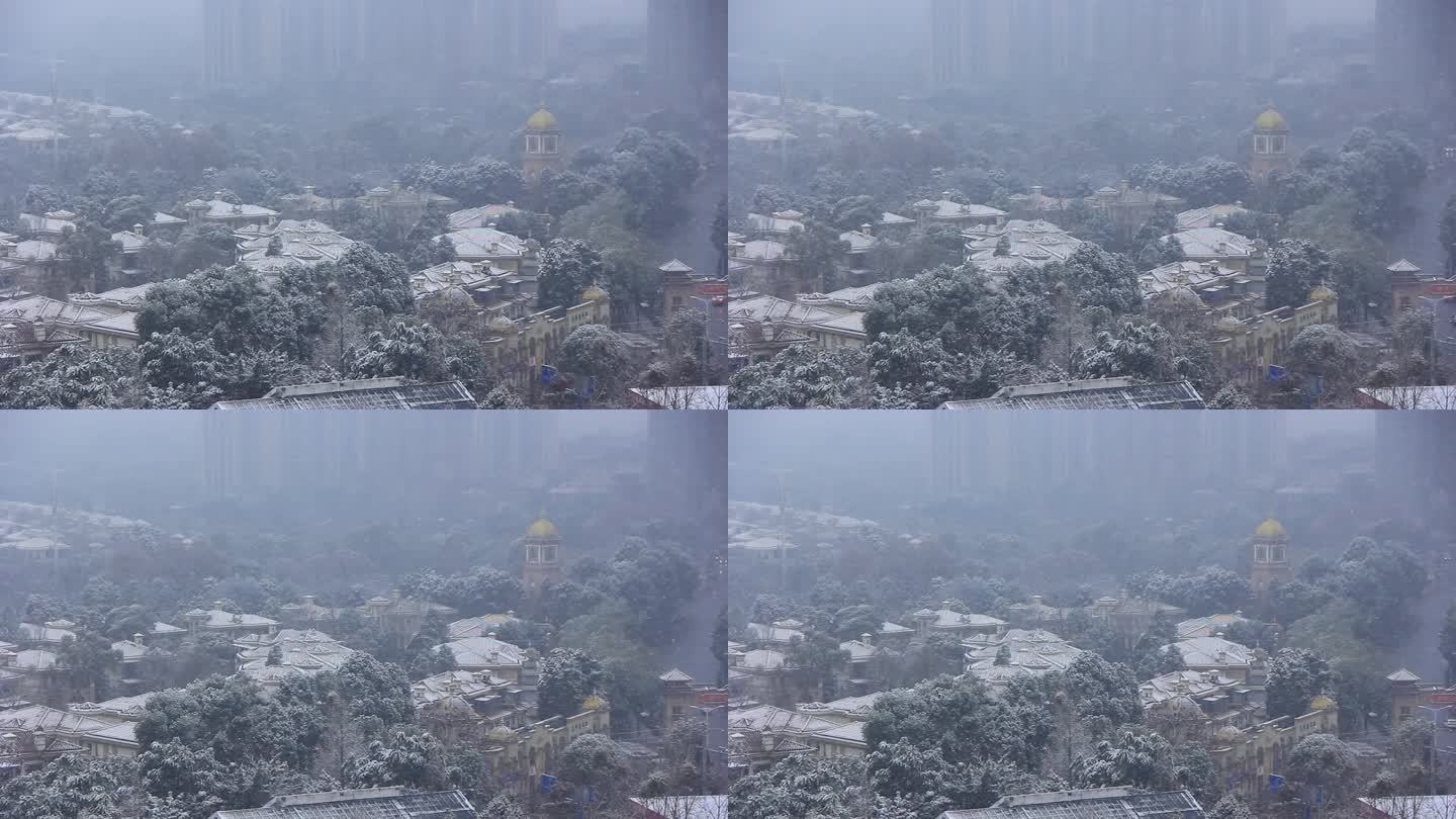 四川省成都市温江区下雪的场景