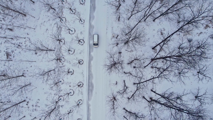 农村大雪冬季出行