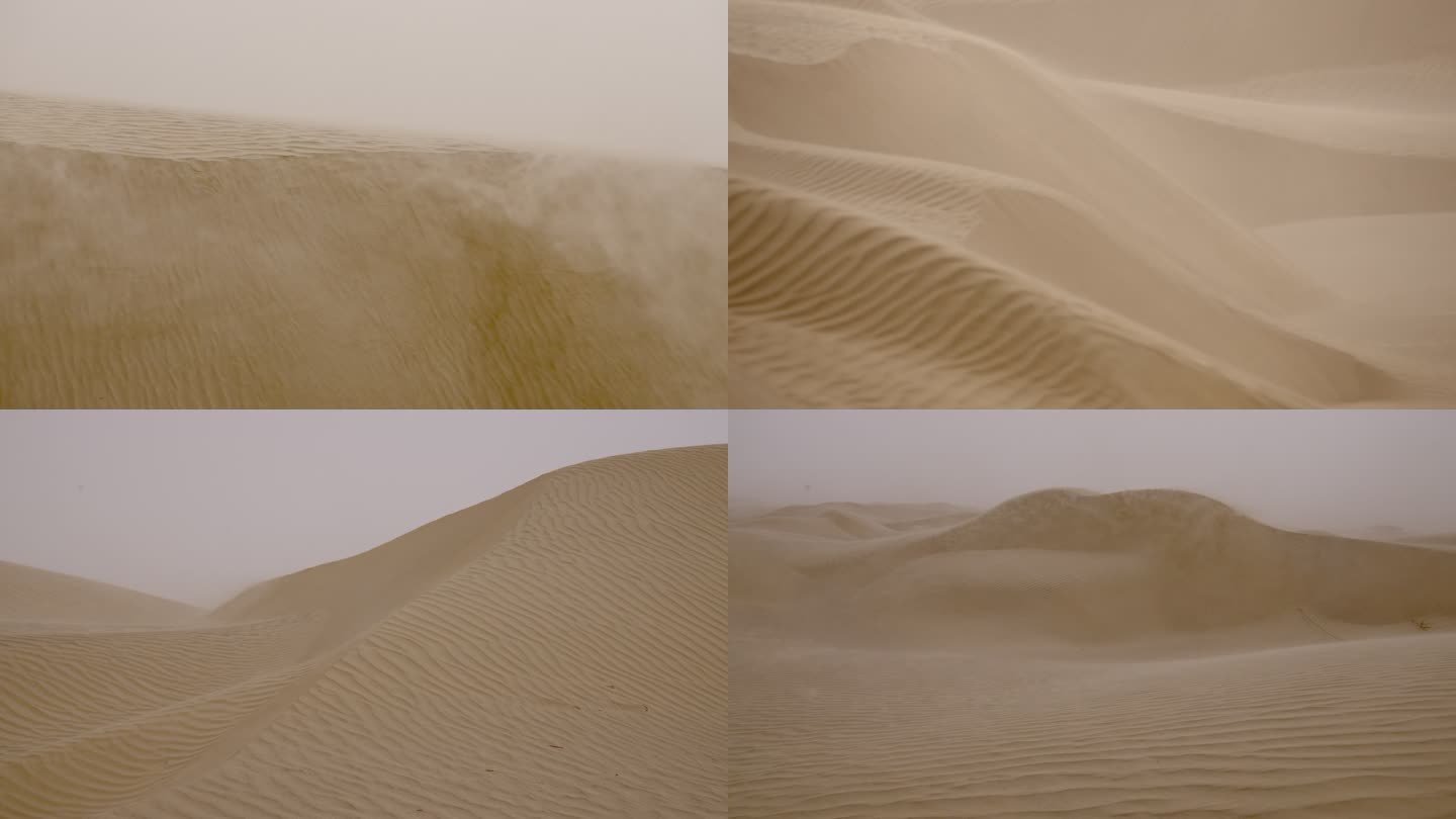 沙漠 沙尘 风沙