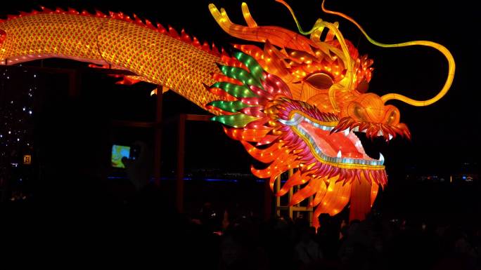 北京什刹海荷花市场元宵节灯会传统文化龙年