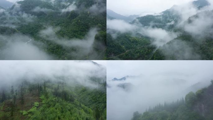 森林中云雾弥漫雾气弥漫的航拍
