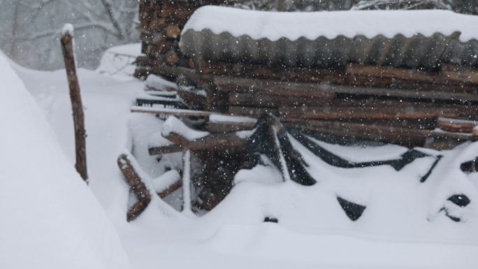 家乡雪景图-下雪啦