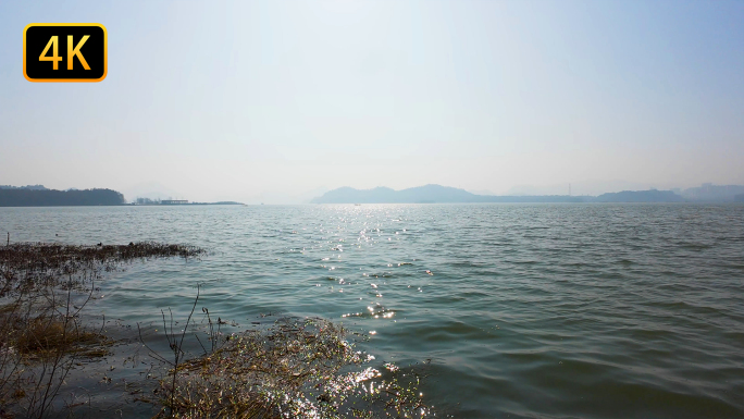 自然 湖水 波光粼粼 湖边