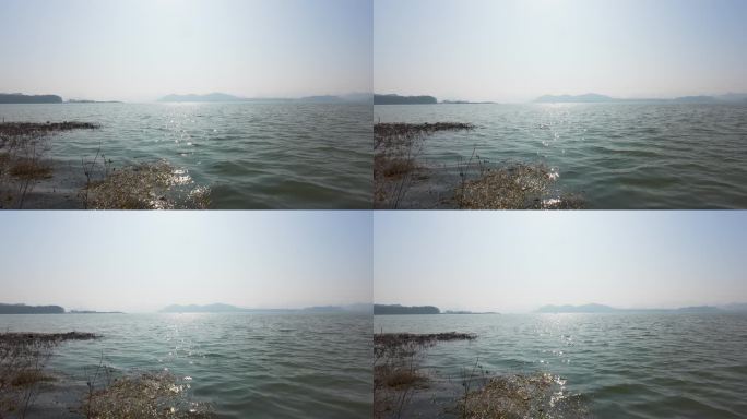 自然 湖水 波光粼粼 湖边