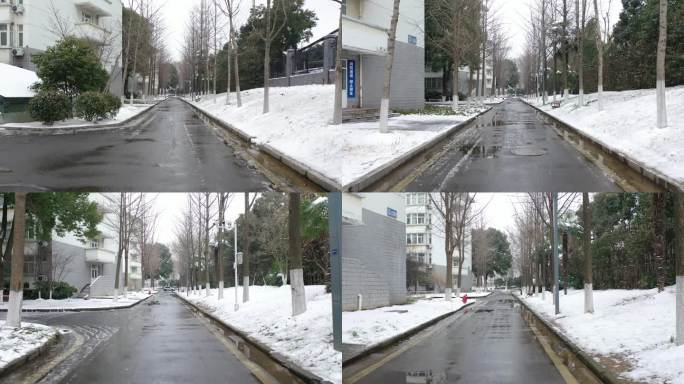 雪后林荫道路