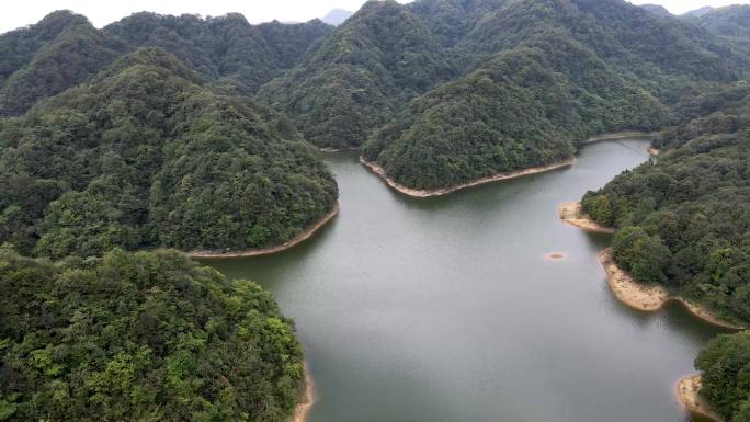 原始森林水库航拍