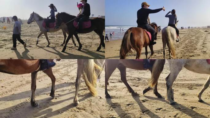 海边沙滩骑马行走沙滩赶海大海海边行马游玩