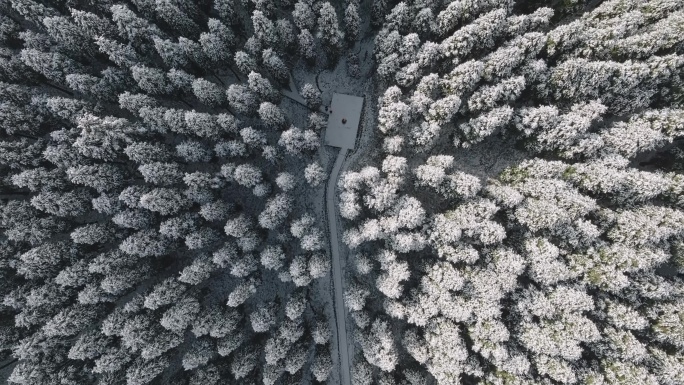 航拍成都彭州雪后中坝森林