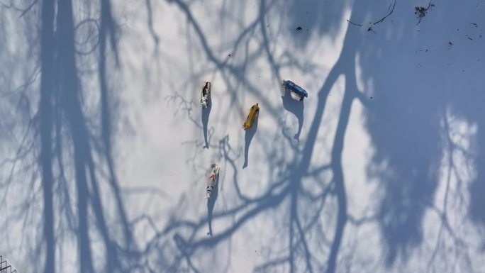 航拍雪地山林七色鹿雕塑树影自然风光