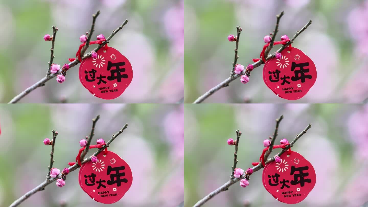 重庆南川：“梅”好祝福迎新春