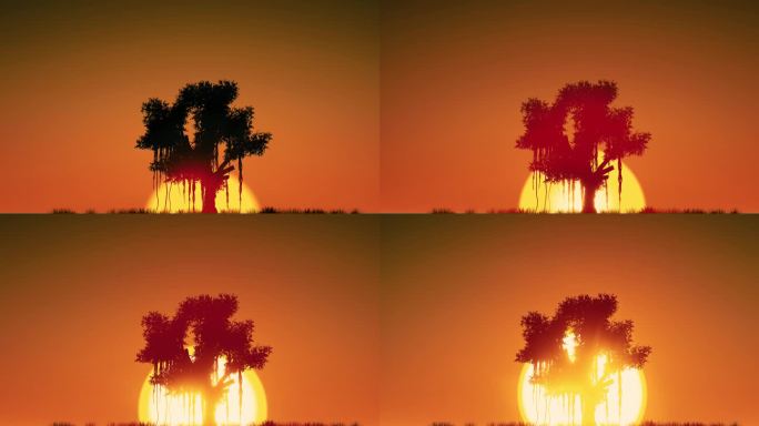 非洲草原太阳从一棵树前面升起