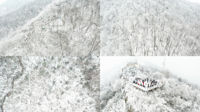 南京紫金山雪景