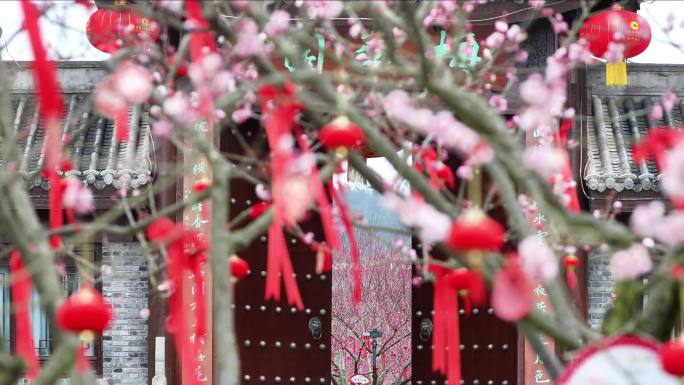 重庆南川：“梅”好祝福迎新春