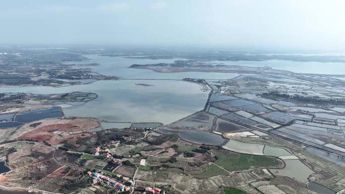 武汉市法泗 张郑湖 鲁湖 农田梅园 4k