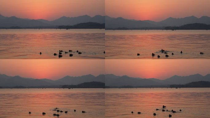夕阳下的西湖美景