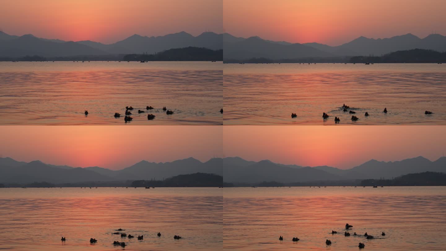 夕阳下的西湖美景