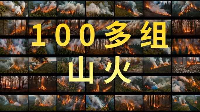 (100+镜头)森林火灾山火
