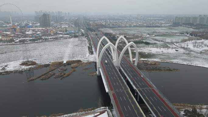 西咸雪景沣东镐京大桥沣河生态湿地公园3