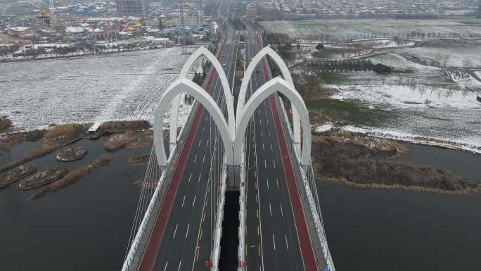 西咸雪景沣东镐京大桥沣河生态湿地公园10