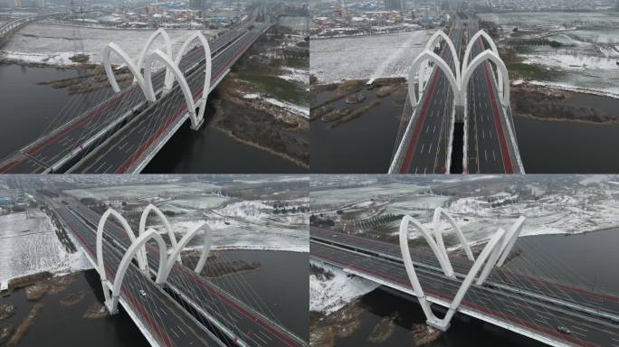 西咸雪景沣东镐京大桥沣河生态湿地公园10