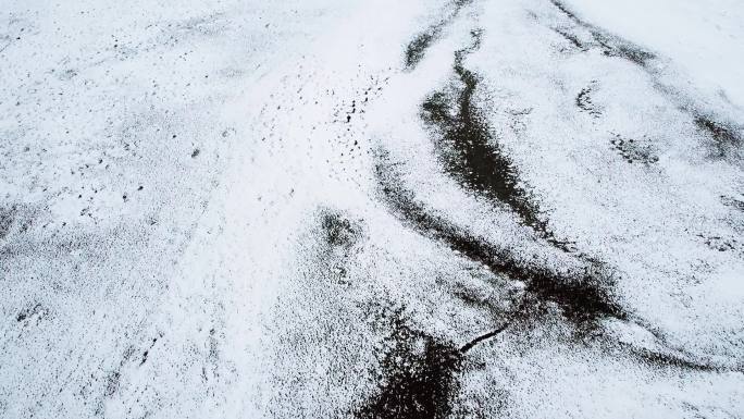 西藏公路雪山雪地小狗空旷自然人抱着柴