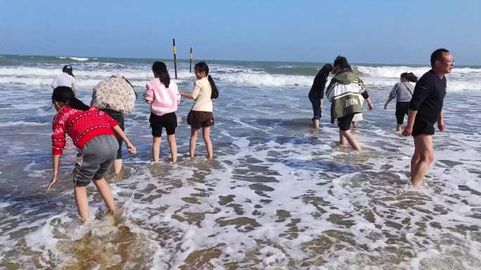 海边赶海拾贝 贝壳海浪 清晨凌晨日出海风