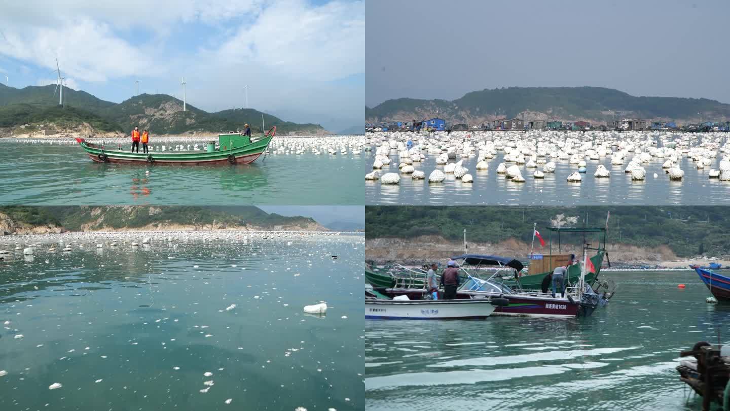 海水环境养殖白色泡沫污染