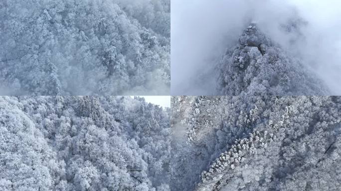 航拍秦岭雪景冬季雾凇4K空镜