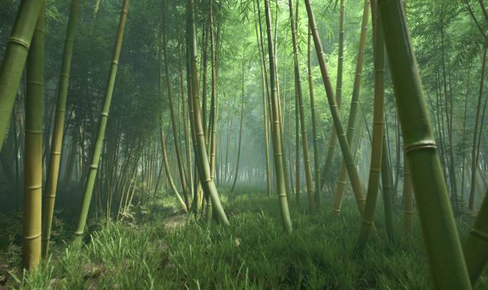 国风竹林穿梭春夏竹林植物大自然