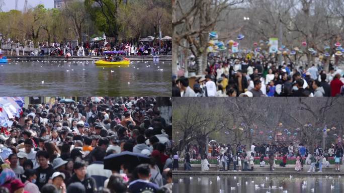 翠湖公园春节的人潮